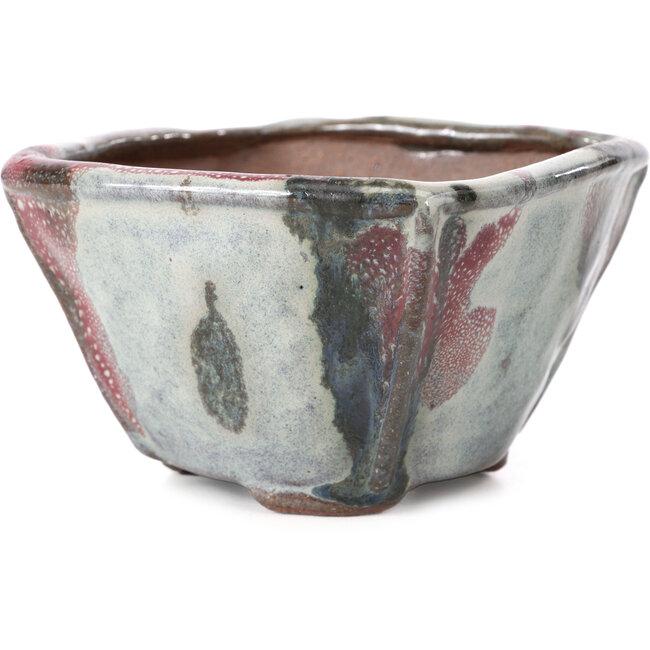 Vaso per bonsai quadrato multicolore di Bonsai - 113 x 110 x 64 mm