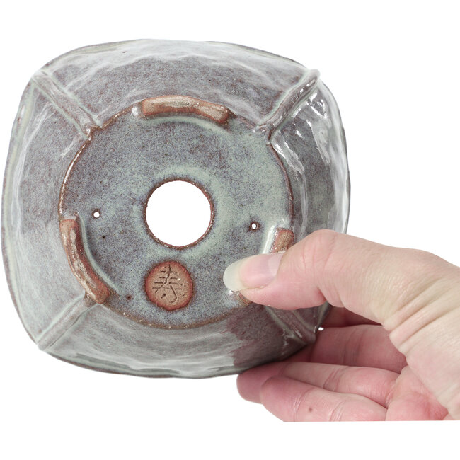 Vierkante lichtblauwe bonsaipot van Bonsai - 120 x 118 x 75 mm