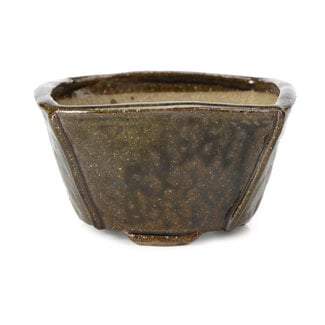 Bonsai 112 mm square brown bonsai pot by Bonsai, Japan