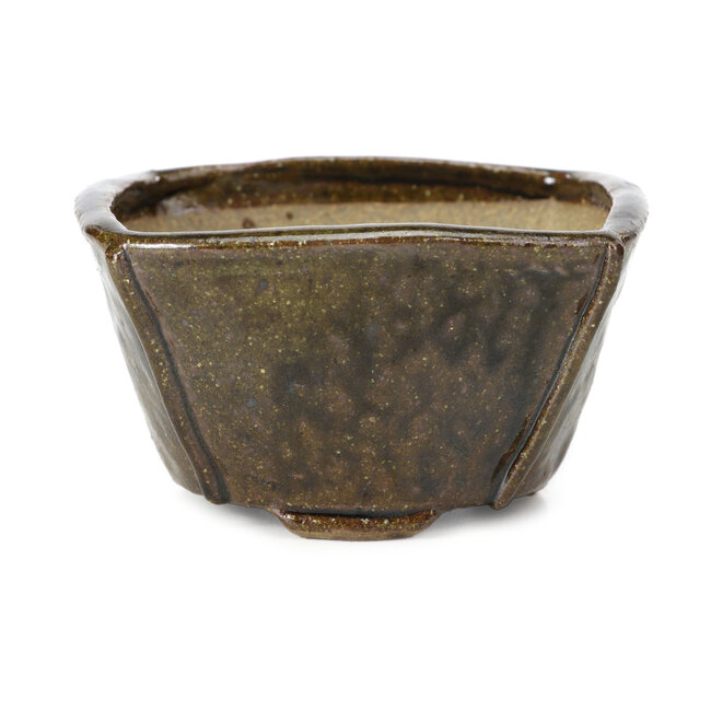 Square brown bonsai pot by Bonsai - 112 x 114 x 60 mm