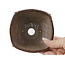 Pot à bonsaï carré brun rouge par Bonsai - 114 x 112 x 47 mm
