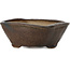 Square brown bonsai pot by Bonsai - 102 x 102 x 43 mm