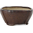 Square brown bonsai pot by Bonsai - 108 x 106 x 52 mm