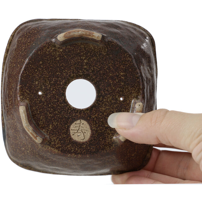 Pot à bonsaï carré marron par Bonsai - 102 x 102 x 43 mm