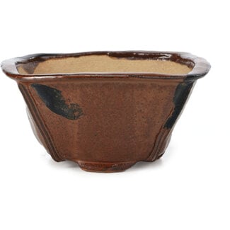 Bonsai 117 mm square brown bonsai pot by Bonsai, Japan