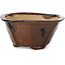 Square brown bonsai pot by Bonsai - 117 x 117 x 58 mm