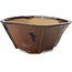 Square brown bonsai pot by Bonsai - 117 x 117 x 58 mm