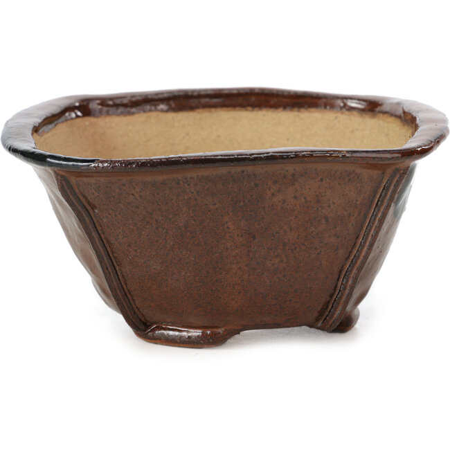 Maceta de bonsái cuadrada marrón de Bonsai - 117 x 117 x 58 mm