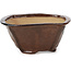 Pot à bonsaï carré marron par Bonsai - 117 x 117 x 58 mm