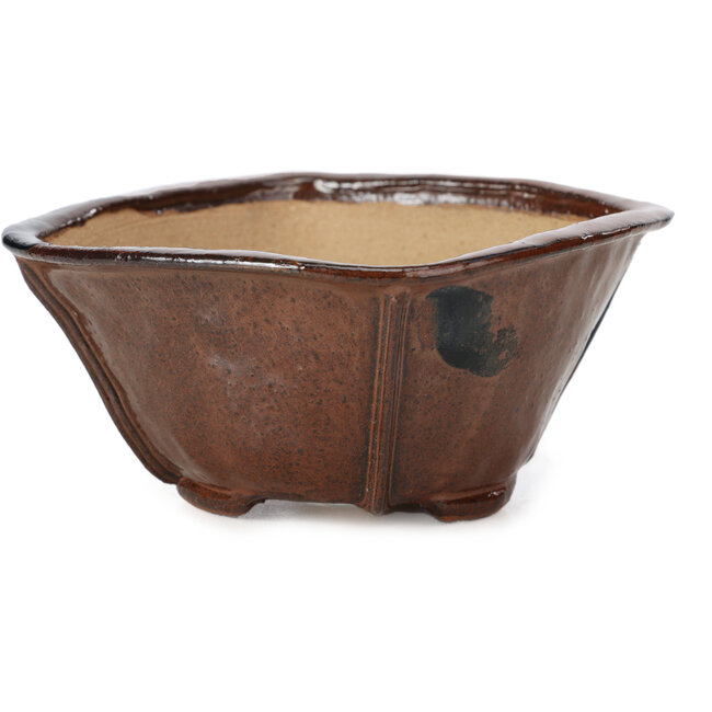 Maceta de bonsái cuadrada marrón de Bonsai - 117 x 117 x 58 mm