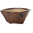 Square brown bonsai pot by Bonsai - 117 x 117 x 58 mm