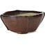 Pot à bonsaï carré marron par Bonsai - 111 x 107 x 50 mm
