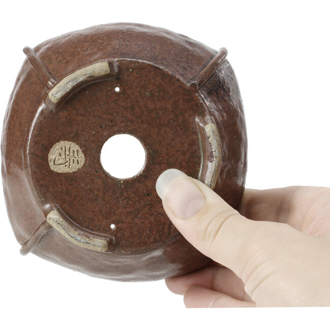 Square brown bonsai pot by Bonsai - 111 x 107 x 50 mm