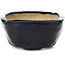 Pot à bonsaï carré bleu par Bonsai - 112 x 107 x 54 mm