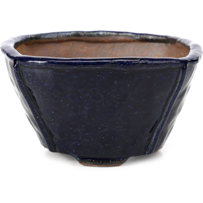 Square blue bonsai pot by Bonsai - 117 x 117 x 63 mm