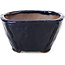 Square blue bonsai pot by Bonsai - 117 x 117 x 63 mm