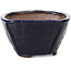 Square blue bonsai pot by Bonsai - 117 x 117 x 63 mm