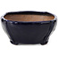 Pot à bonsaï carré bleu par Bonsai - 112 x 112 x 52 mm