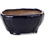Pot à bonsaï carré bleu par Bonsai - 112 x 112 x 52 mm
