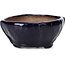 Square blue bonsai pot by Bonsai - 112 x 112 x 52 mm