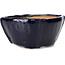 Pot à bonsaï carré bleu par Bonsai - 104 x 104 x 58 mm