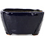 Square blue bonsai pot by Bonsai - 104 x 104 x 58 mm