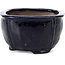 Square blue bonsai pot by Bonsai - 104 x 104 x 65 mm