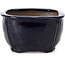 Vaso per bonsai quadrato blu di Bonsai - 104 x 104 x 65 mm