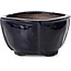 Square blue bonsai pot by Bonsai - 104 x 104 x 65 mm