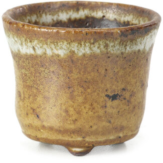 Other Japan 50 mm round beige pot from Japan