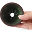 Ronde ongeglazuurde bonsaipot van Bigei - 74 x 74 x 40 mm