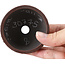 Ronde ongeglazuurde bonsaipot van Bigei - 72 x 72 x 38 mm