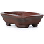 Rectangular unglazed bonsai pot by Bigei - 50 x 40 x 15 mm