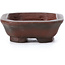 Rectangular unglazed bonsai pot by Bigei - 50 x 40 x 15 mm