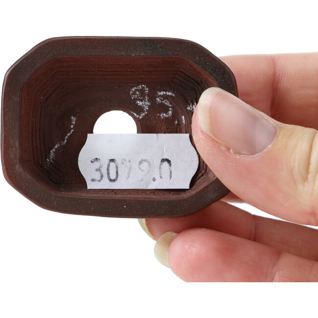 Maceta de bonsái rectangular sin esmaltar de Bigei - 50 x 40 x 15 mm