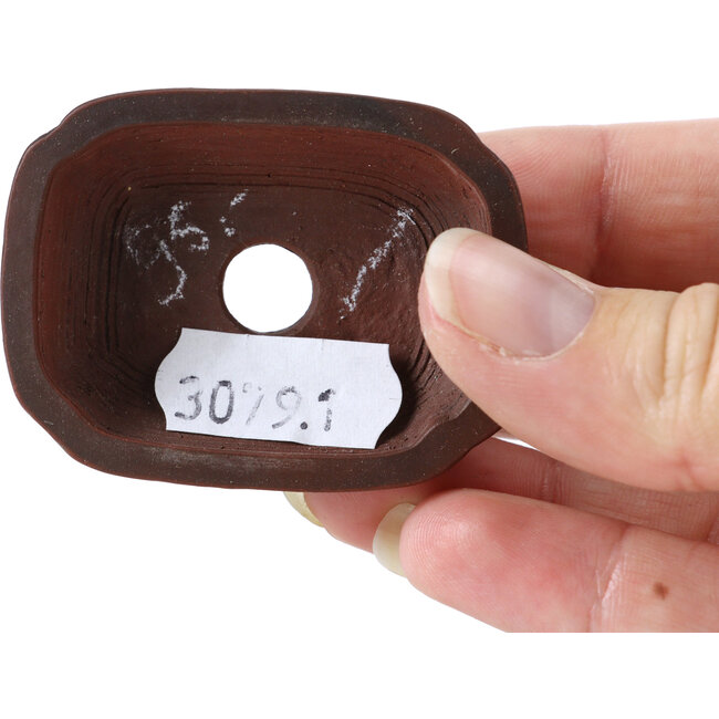 Maceta de bonsái rectangular sin esmaltar de Bigei - 55 x 40 x 16 mm