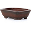 Rectangular unglazed bonsai pot by Bigei - 55 x 40 x 16 mm