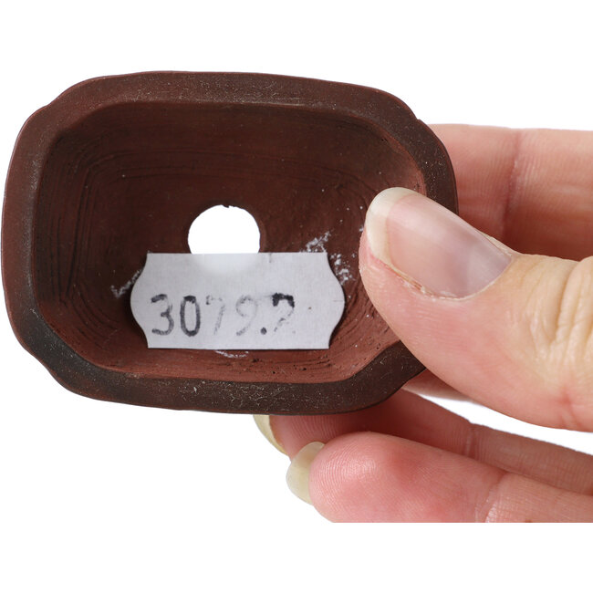 Rectangular unglazed bonsai pot by Bigei - 55 x 40 x 16 mm