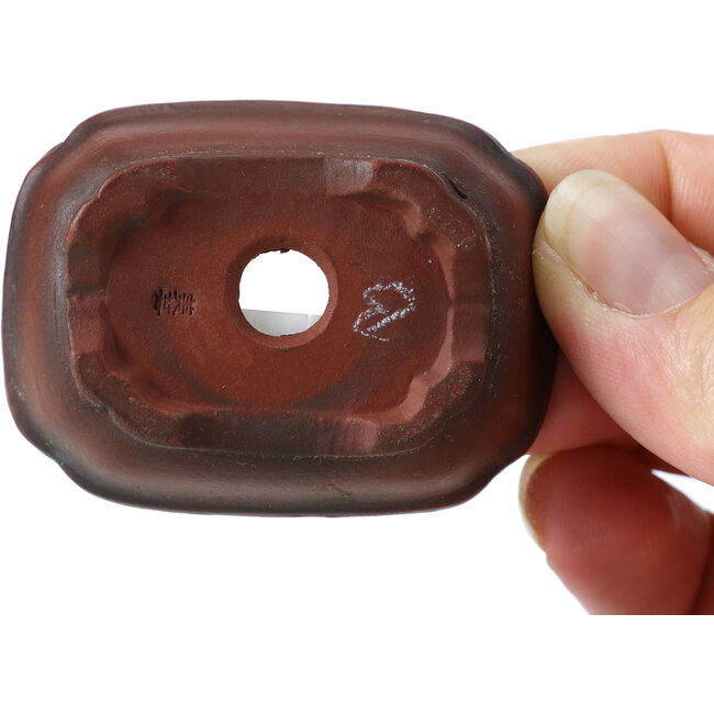 Maceta de bonsái rectangular sin esmaltar de Bigei - 55 x 40 x 16 mm