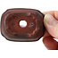 Maceta de bonsái rectangular sin esmaltar de Bigei - 55 x 40 x 16 mm