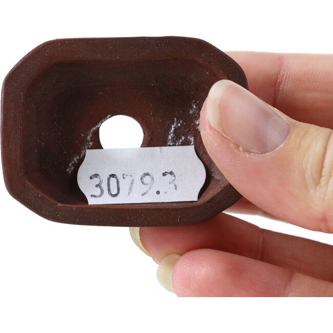 Rechthoekige ongeglazuurde bonsaipot van Bigei - 50 x 38 x 15 mm