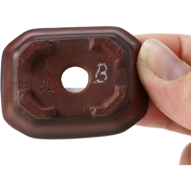 Pot à bonsaï rectangulaire non émaillé par Bigei - 50 x 38 x 15 mm
