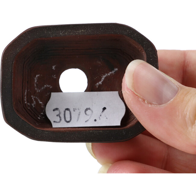 Maceta de bonsái rectangular sin esmaltar de Bigei - 50 x 40 x 15 mm