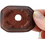 Maceta de bonsái rectangular sin esmaltar de Bigei - 50 x 40 x 15 mm