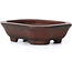 Rectangular unglazed bonsai pot by Bigei - 50 x 40 x 15 mm