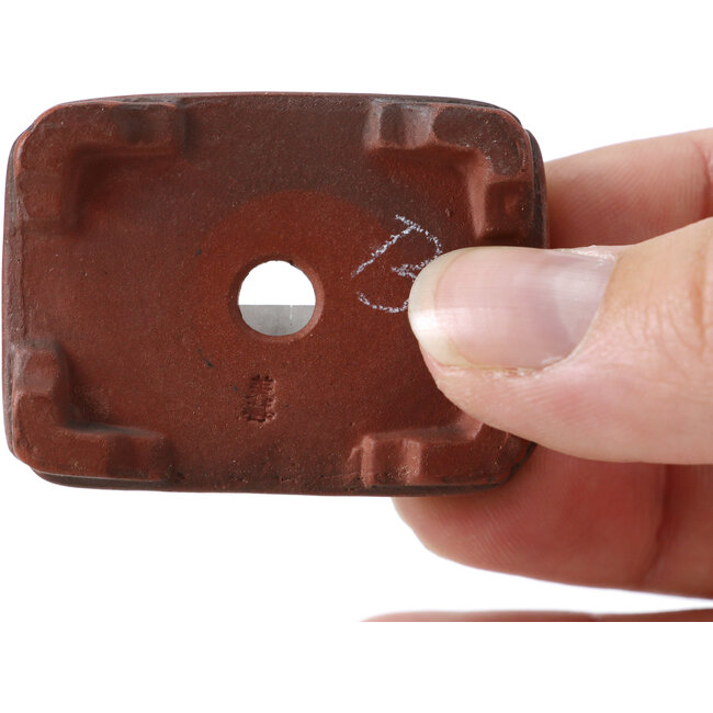 Pot à bonsaï rectangulaire non émaillé par Bigei - 45 x 34 x 15 mm