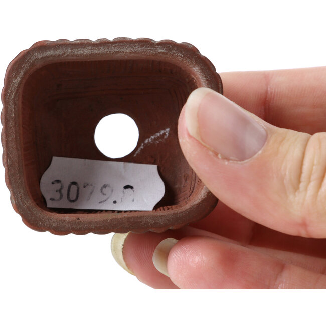 Maceta de bonsái rectangular sin esmaltar de Bigei - 45 x 40 x 21 mm