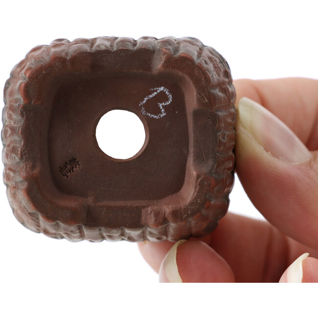 Maceta de bonsái rectangular sin esmaltar de Bigei - 45 x 40 x 21 mm