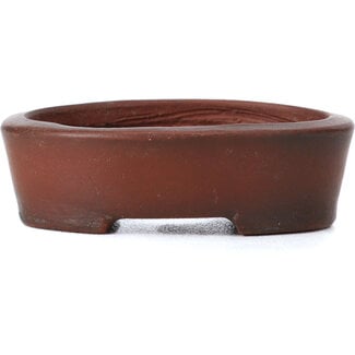 Bigei - Hirata Atsumi 50 mm oval unglazed bonsai pot by Bigei, Tokoname, Japan