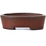 Oval unglazed bonsai pot by Bigei - 50 x 36 x 16 mm